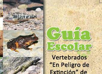 Guía escolar: vertebrados "en peligro de extinción" en la Región del Biobío, Chile