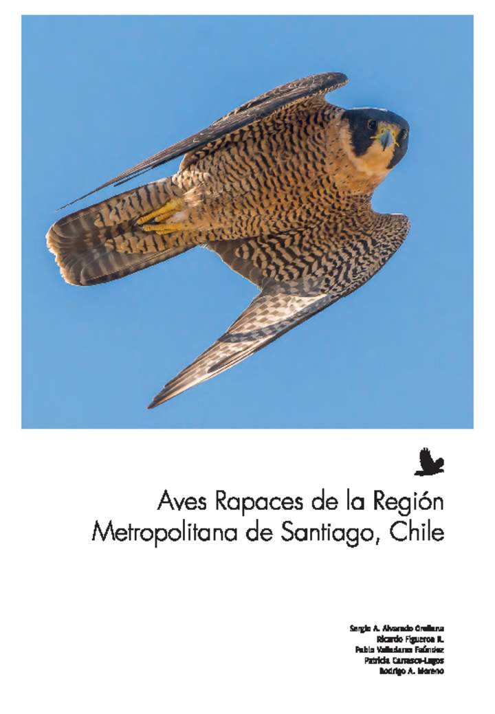 Aves Rapaces de la Región Metropolitana de Santiago, Chile