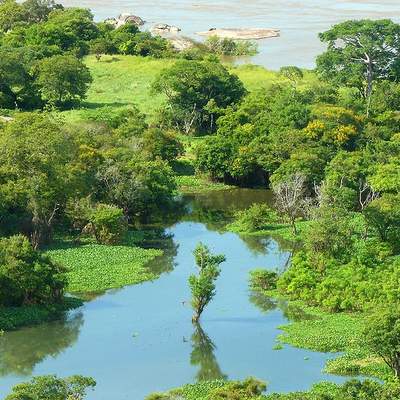 Fotografía del río Orinoco