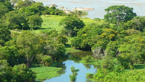 Fotografía del río Orinoco