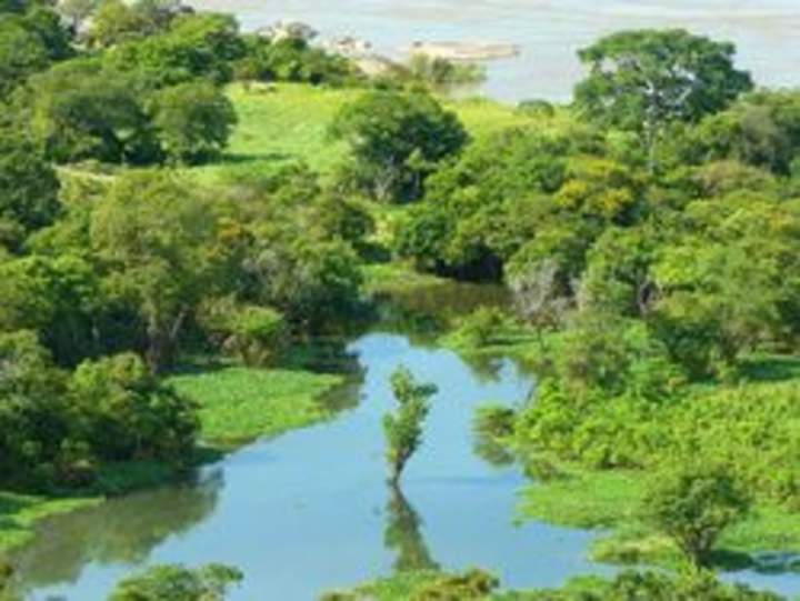 Fotografía del río Orinoco