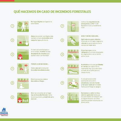 ¿Qué hacemos en caso de incendios forestales?