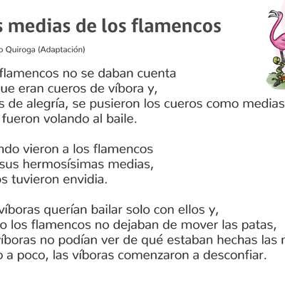 Las medias de los flamencos