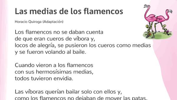 Las medias de los flamencos