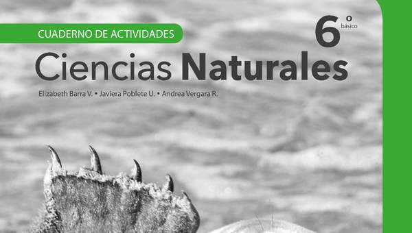 Ciencias Naturales 6° Básico, Cuaderno de actividades - Fragmento de muestra