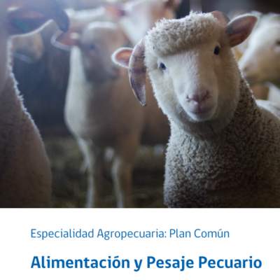 Foto Portada