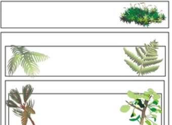 Clasificación de plantas