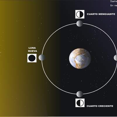 Fases de la luna