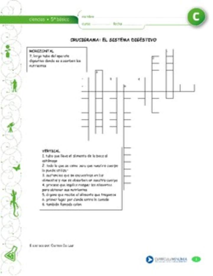 Crucigrama la digestión