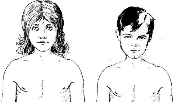 Cuerpo de niños púberes