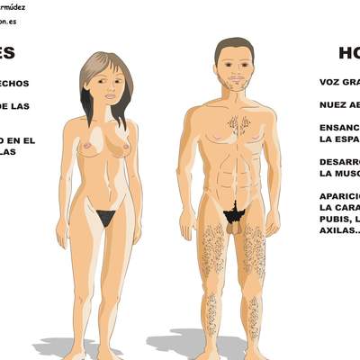 Desarrollo sexual humano