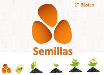 Semillas