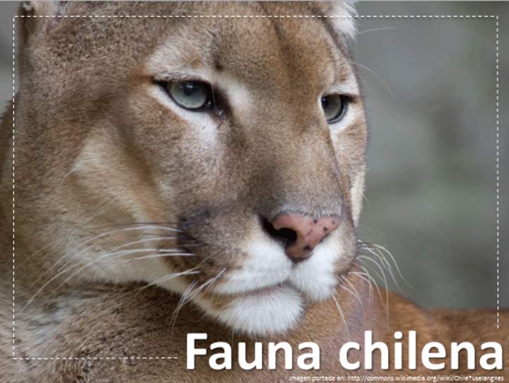 Fauna chilena