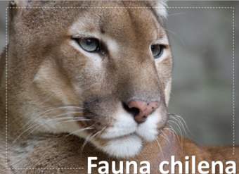 Fauna chilena