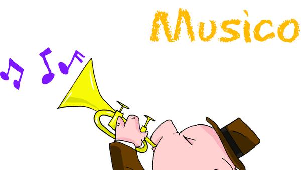 Músico