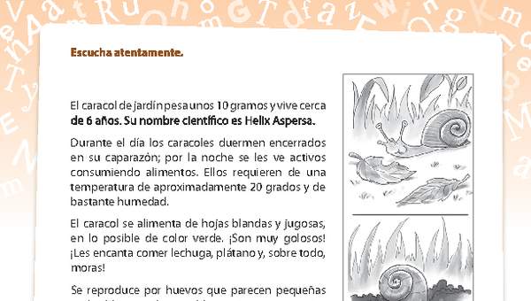 Texto informativo del caracol