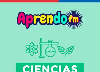 AprendoFM: Seguridad, prevención y autocuidado - 3M OAC1 / 4M OAC1 - Cápsula 160 - Prevención daño medioambiental