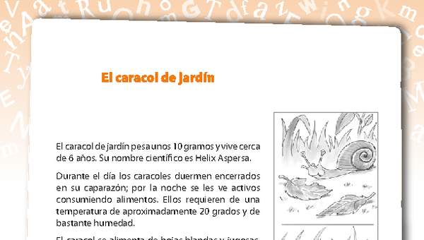 El caracol de jardín