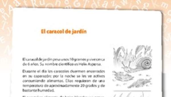 El caracol de jardín