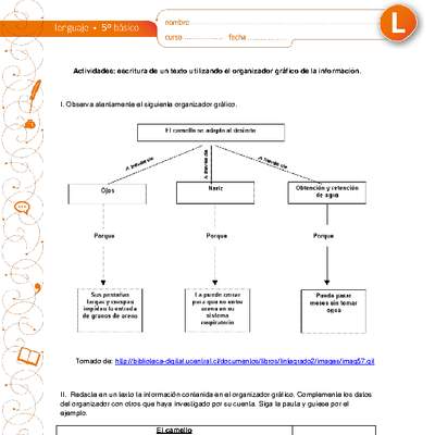 Escritura de un texto utilizando el organizador gráfico de la información Escritura de un texto utilizando el organizador gráfico de la información