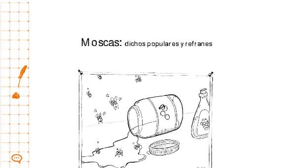 Moscas: dichos populares y refranes