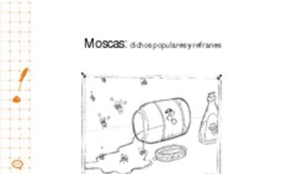 Moscas: dichos populares y refranes