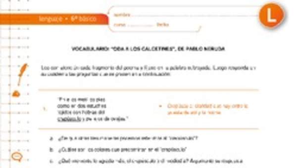 Vocabulario: "Oda a los calcetines", de Pablo Neruda