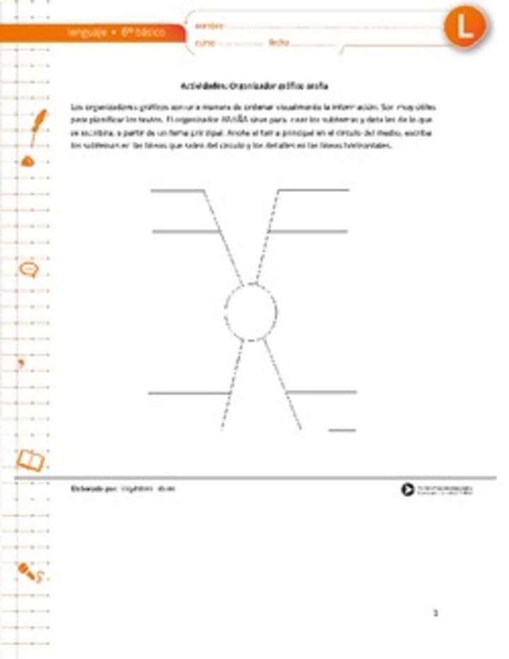 Organizador gráfico araña