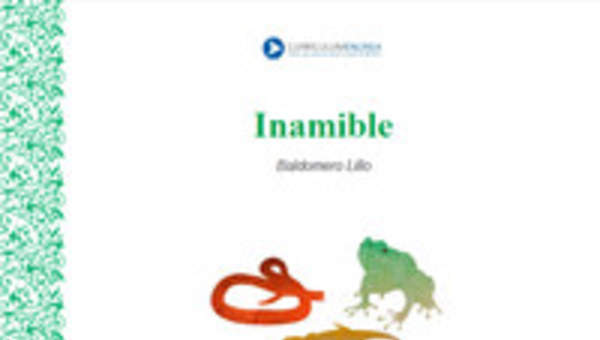 Inamible