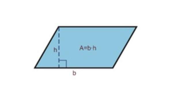 Área de un paralelogramo