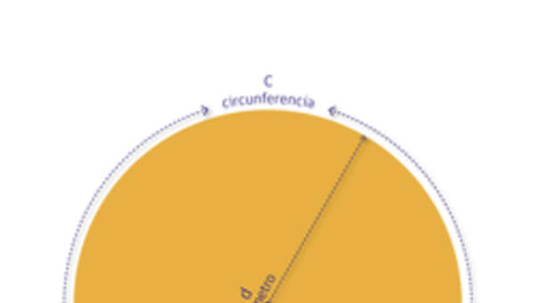 Circunferencia y círculo