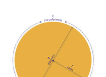 Circunferencia y círculo