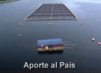 Video: Opciones laborales en el Mar