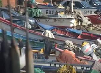 Video: Caleteando, en: Horcón