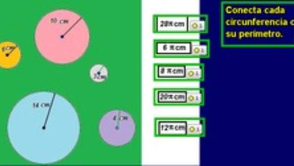 Unir circunferencias con perímetros (III)