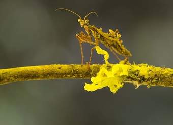 Biodiversidad