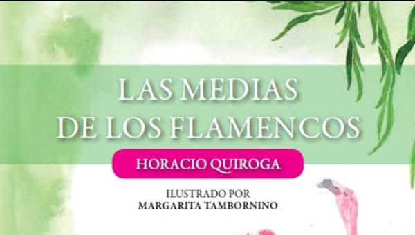 Las medias de los flamencos