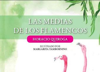Las medias de los flamencos