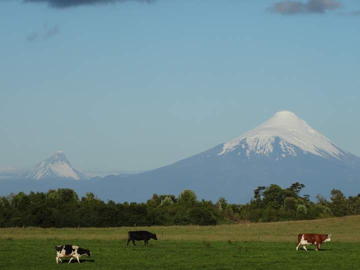 Volcan Osorno - https://pixabay.com/