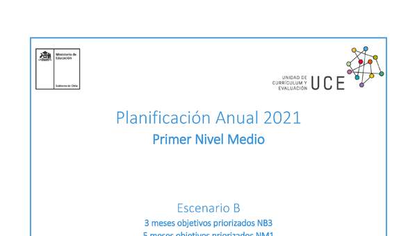 Ejemplo de planificación Primer Nivel Medio (NM1)