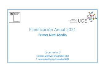 Ejemplo de planificación Primer Nivel Medio (NM1)