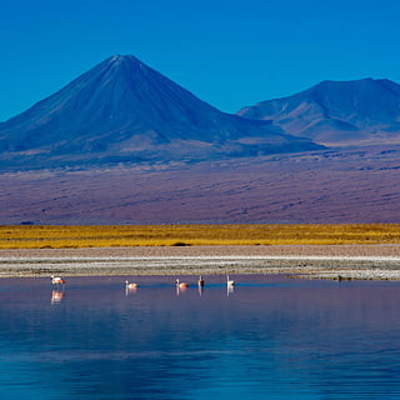 Laguna altiplánica Socaire