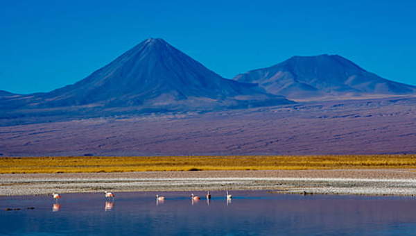 Laguna altiplánica Socaire