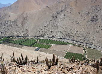 Paihuano Elqui