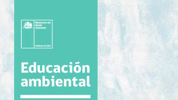 Educación ambiental Una mirada desde la institucionalidad ambiental chilena