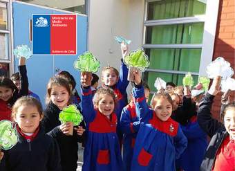 Manual Del Sistema Nacional De Certificación Ambiental De Establecimientos Educacionales