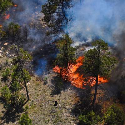 Incendio forestal