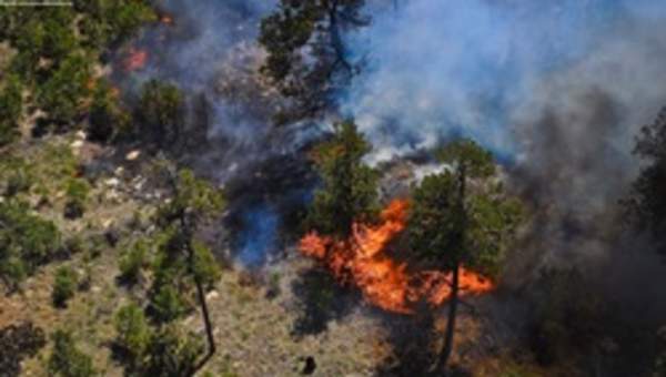 Incendio forestal