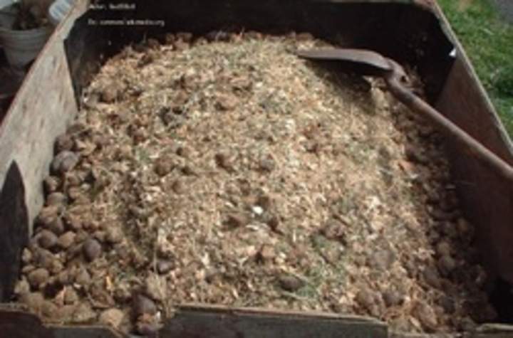 Compost