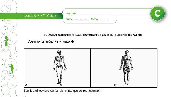 El movimiento y los sistemas del cuerpo